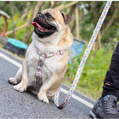 Dog Collars Fashion Designer Print Non-Escape Nylon Dog Harness Breakaway Quick Release Pet Harness Vest Walking Lead Adjustable