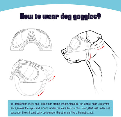 Cool Dog Sun Glasses UV Protection Windproof Goggles Pet Eye Wear Dog Swimming Skating Glasses Pet Accessories