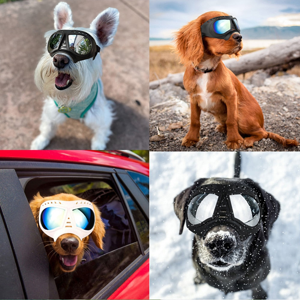 Cool Dog Sun Glasses UV Protection Windproof Goggles Pet Eye Wear Dog Swimming Skating Glasses Pet Accessories