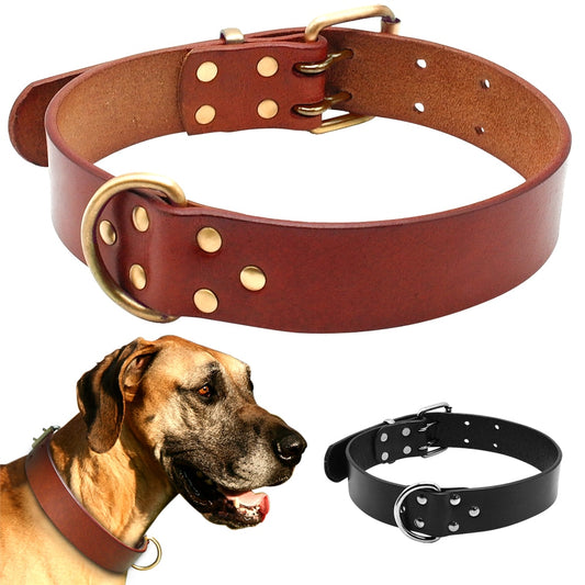 Luxury Best Genuine Leather Pet Dog Collars For Pit bull German Shepherd Labrador with Durable D ring &amp; Buckle S/M/L/XL Black